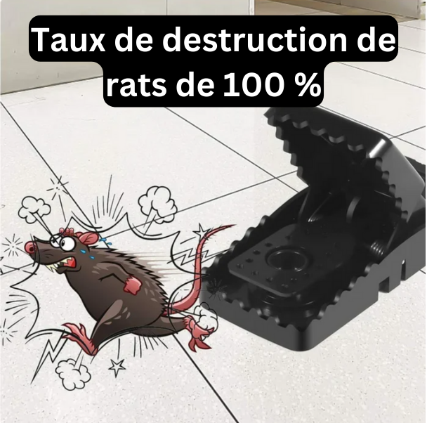 Piège à Souris
